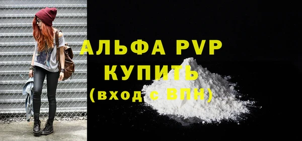 стафф Вязьма