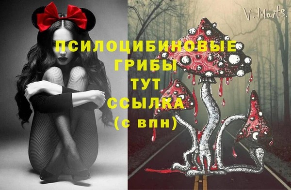 стафф Вязьма