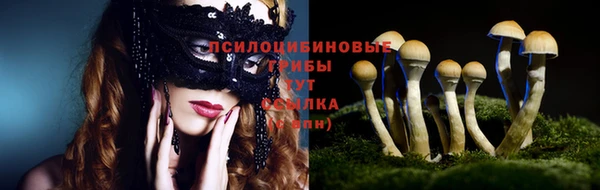 сатива Вяземский