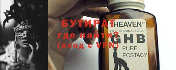 сатива Вяземский