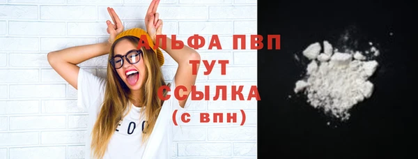 сатива Вяземский