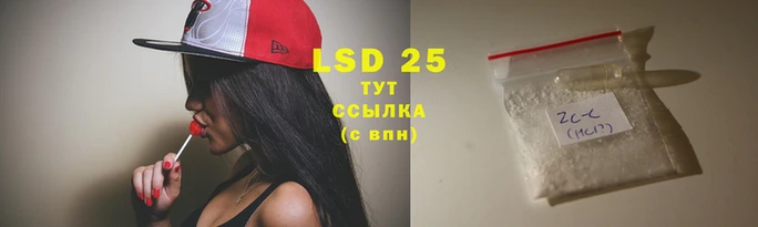 стафф Вязьма