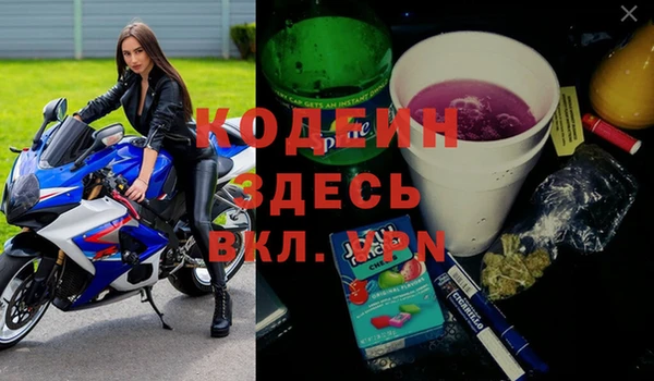 стафф Вязьма