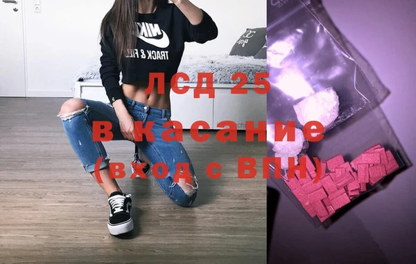сатива Вяземский