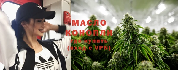 сатива Вяземский