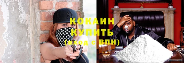 сатива Вяземский
