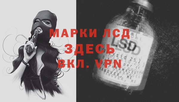 сатива Вяземский